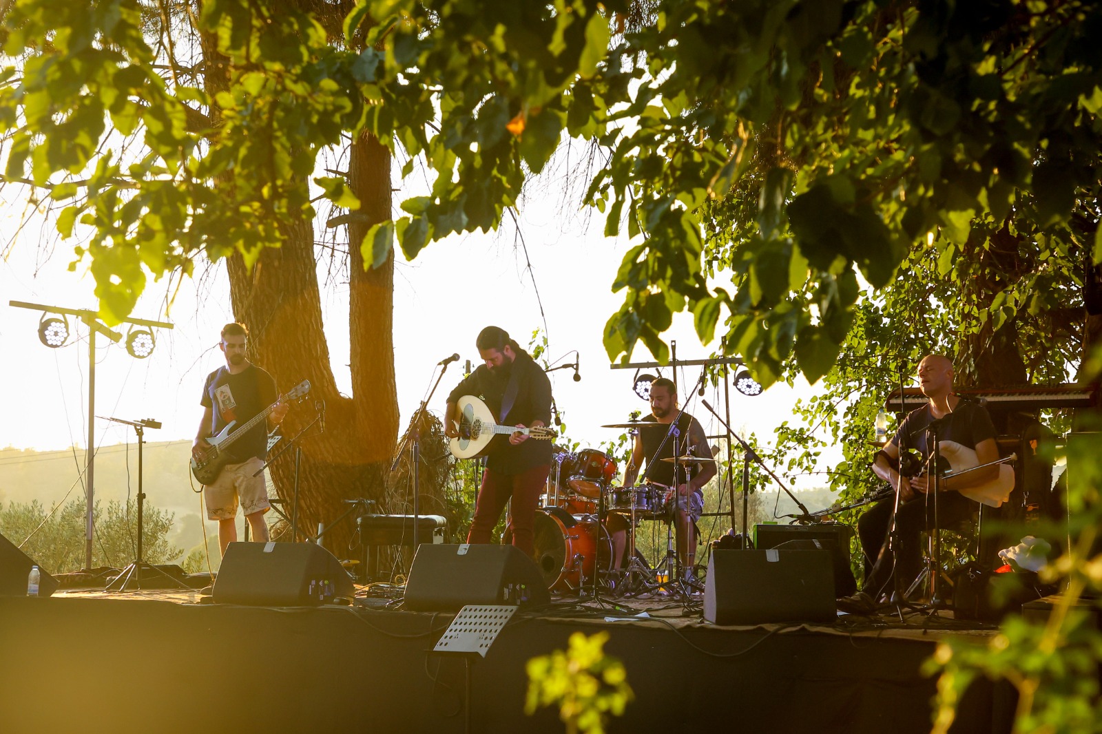 Idaeon Project performing live at sunset